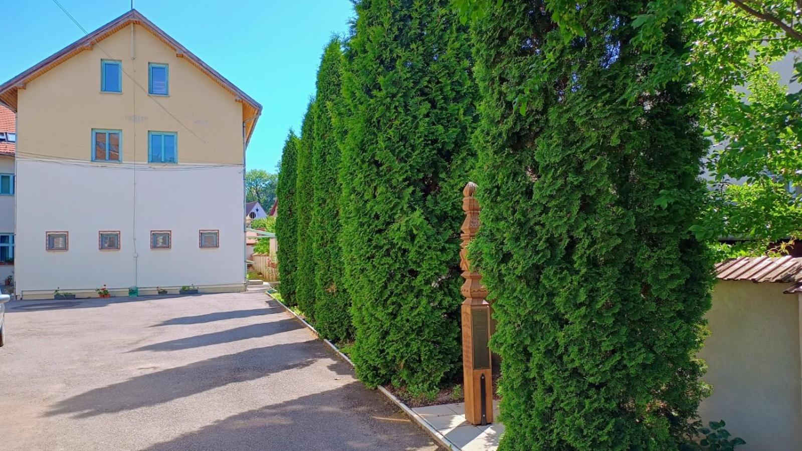 Centrul Gaudeamus Pansiyon Sighişoara Dış mekan fotoğraf